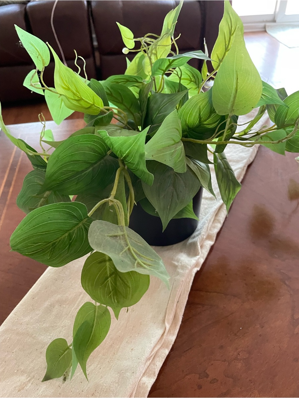 Lifelike Green Faux Plant in Matte Black Planter - Picture 3 of 6
